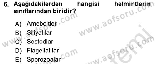 Gıda Güvenliğinin Temel Prensipleri Dersi 2016 - 2017 Yılı (Final) Dönem Sonu Sınav Soruları 6. Soru