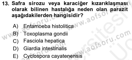 Gıda Güvenliğinin Temel Prensipleri Dersi 2017 - 2018 Yılı 3 Ders Sınav Soruları 13. Soru