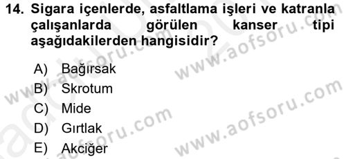 Gıda Güvenliğinin Temel Prensipleri Dersi 2017 - 2018 Yılı 3 Ders Sınav Soruları 14. Soru