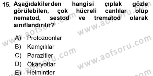 Gıda Güvenliğinin Temel Prensipleri Dersi 2017 - 2018 Yılı 3 Ders Sınav Soruları 15. Soru