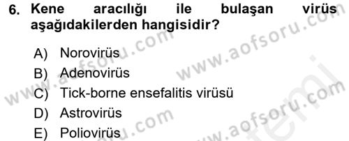 Gıda Güvenliğinin Temel Prensipleri Dersi 2017 - 2018 Yılı 3 Ders Sınav Soruları 6. Soru