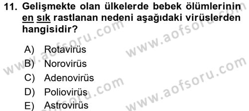 Gıda Güvenliğinin Temel Prensipleri Dersi 2017 - 2018 Yılı (Vize) Ara Sınav Soruları 11. Soru