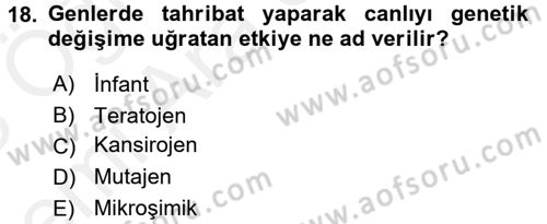 Gıda Güvenliğinin Temel Prensipleri Dersi 2017 - 2018 Yılı (Vize) Ara Sınav Soruları 18. Soru