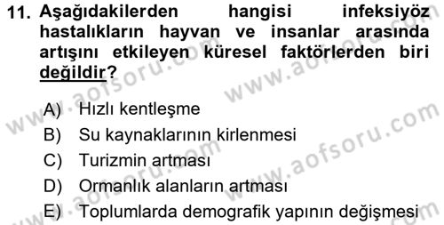 Gıda Güvenliğinin Temel Prensipleri Dersi 2017 - 2018 Yılı (Final) Dönem Sonu Sınav Soruları 11. Soru