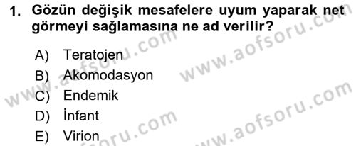 Gıda Güvenliğinin Temel Prensipleri Dersi 2018 - 2019 Yılı 3 Ders Sınav Soruları 1. Soru