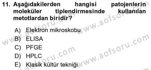 Gıda Güvenliğinin Temel Prensipleri Dersi 2018 - 2019 Yılı 3 Ders Sınav Soruları 11. Soru