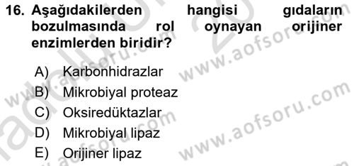 Gıda Güvenliğinin Temel Prensipleri Dersi 2018 - 2019 Yılı 3 Ders Sınav Soruları 16. Soru
