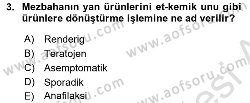 Gıda Güvenliğinin Temel Prensipleri Dersi 2018 - 2019 Yılı 3 Ders Sınav Soruları 3. Soru