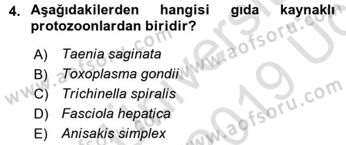 Gıda Güvenliğinin Temel Prensipleri Dersi 2018 - 2019 Yılı 3 Ders Sınav Soruları 4. Soru