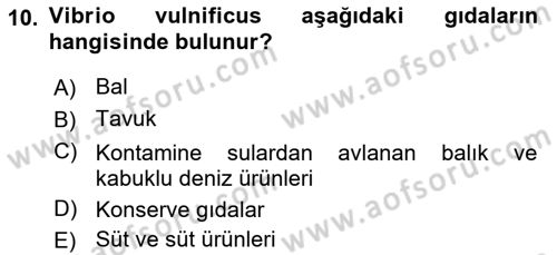 Gıda Güvenliğinin Temel Prensipleri Dersi 2018 - 2019 Yılı (Vize) Ara Sınav Soruları 10. Soru