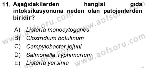 Gıda Güvenliğinin Temel Prensipleri Dersi 2018 - 2019 Yılı (Vize) Ara Sınav Soruları 11. Soru