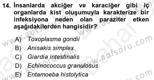 Gıda Güvenliğinin Temel Prensipleri Dersi 2018 - 2019 Yılı (Vize) Ara Sınav Soruları 14. Soru