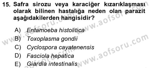 Gıda Güvenliğinin Temel Prensipleri Dersi 2018 - 2019 Yılı (Vize) Ara Sınav Soruları 15. Soru