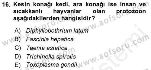 Gıda Güvenliğinin Temel Prensipleri Dersi 2018 - 2019 Yılı (Vize) Ara Sınav Soruları 16. Soru