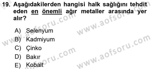 Gıda Güvenliğinin Temel Prensipleri Dersi 2018 - 2019 Yılı (Vize) Ara Sınav Soruları 19. Soru