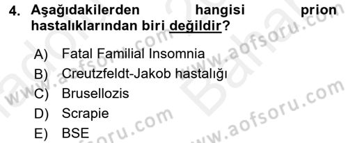 Gıda Güvenliğinin Temel Prensipleri Dersi 2018 - 2019 Yılı (Vize) Ara Sınav Soruları 4. Soru