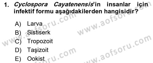 Gıda Güvenliğinin Temel Prensipleri Dersi 2018 - 2019 Yılı (Final) Dönem Sonu Sınav Soruları 1. Soru