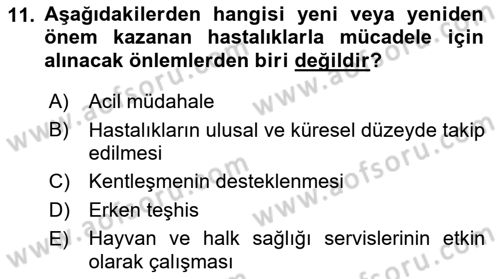 Gıda Güvenliğinin Temel Prensipleri Dersi 2018 - 2019 Yılı (Final) Dönem Sonu Sınav Soruları 11. Soru