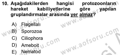 Gıda Güvenliğinin Temel Prensipleri Dersi 2018 - 2019 Yılı Yaz Okulu Sınav Soruları 10. Soru
