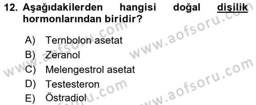 Gıda Güvenliğinin Temel Prensipleri Dersi 2018 - 2019 Yılı Yaz Okulu Sınav Soruları 12. Soru