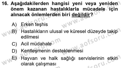 Gıda Güvenliğinin Temel Prensipleri Dersi 2018 - 2019 Yılı Yaz Okulu Sınav Soruları 16. Soru