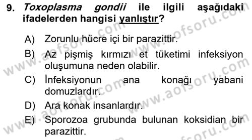 Gıda Güvenliğinin Temel Prensipleri Dersi 2018 - 2019 Yılı Yaz Okulu Sınav Soruları 9. Soru