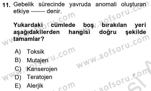 Gıda Güvenliğinin Temel Prensipleri Dersi 2020 - 2021 Yılı Yaz Okulu Sınav Soruları 11. Soru