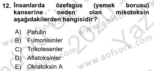 Gıda Güvenliğinin Temel Prensipleri Dersi 2020 - 2021 Yılı Yaz Okulu Sınav Soruları 12. Soru