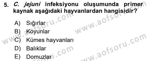 Gıda Güvenliğinin Temel Prensipleri Dersi 2020 - 2021 Yılı Yaz Okulu Sınav Soruları 5. Soru