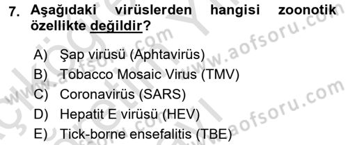 Gıda Güvenliğinin Temel Prensipleri Dersi 2020 - 2021 Yılı Yaz Okulu Sınav Soruları 7. Soru