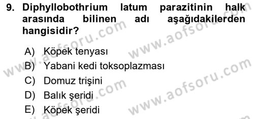 Gıda Güvenliğinin Temel Prensipleri Dersi 2020 - 2021 Yılı Yaz Okulu Sınav Soruları 9. Soru