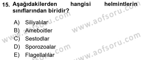 Gıda Güvenliğinin Temel Prensipleri Dersi 2021 - 2022 Yılı (Vize) Ara Sınav Soruları 15. Soru