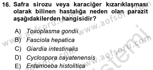 Gıda Güvenliğinin Temel Prensipleri Dersi 2021 - 2022 Yılı (Vize) Ara Sınav Soruları 16. Soru