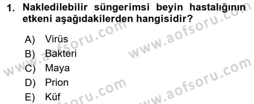 Gıda Güvenliğinin Temel Prensipleri Dersi 2021 - 2022 Yılı (Final) Dönem Sonu Sınav Soruları 1. Soru