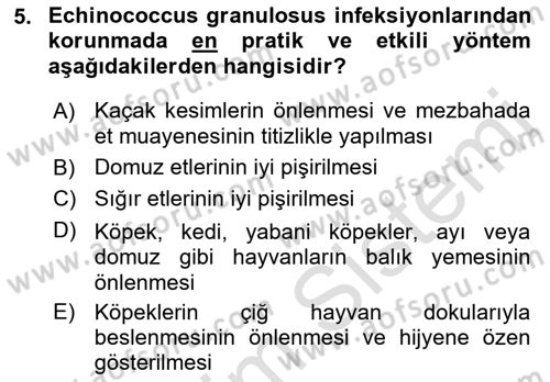 Gıda Güvenliğinin Temel Prensipleri Dersi 2021 - 2022 Yılı (Final) Dönem Sonu Sınav Soruları 5. Soru