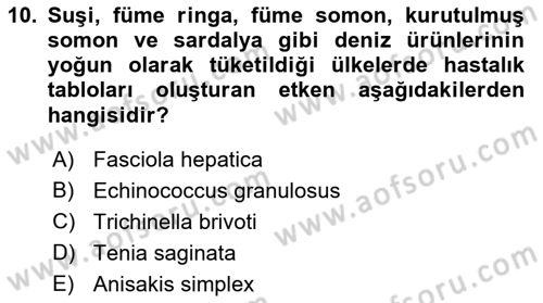 Gıda Güvenliğinin Temel Prensipleri Dersi 2021 - 2022 Yılı Yaz Okulu Sınav Soruları 10. Soru