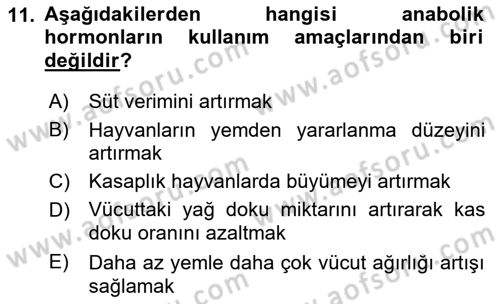 Gıda Güvenliğinin Temel Prensipleri Dersi 2021 - 2022 Yılı Yaz Okulu Sınav Soruları 11. Soru