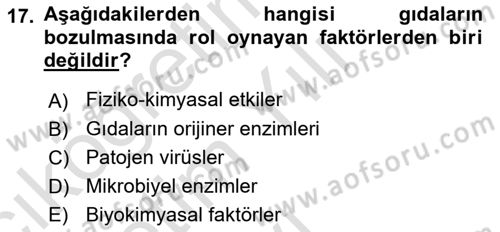 Gıda Güvenliğinin Temel Prensipleri Dersi 2021 - 2022 Yılı Yaz Okulu Sınav Soruları 17. Soru