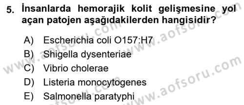Gıda Güvenliğinin Temel Prensipleri Dersi 2021 - 2022 Yılı Yaz Okulu Sınav Soruları 5. Soru