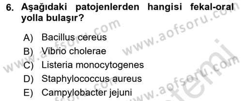 Gıda Güvenliğinin Temel Prensipleri Dersi 2021 - 2022 Yılı Yaz Okulu Sınav Soruları 6. Soru