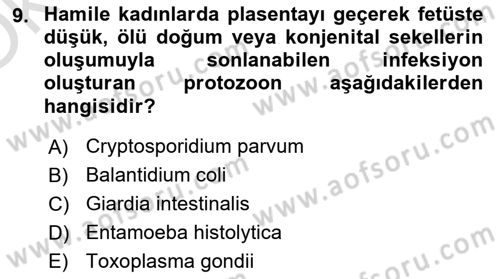 Gıda Güvenliğinin Temel Prensipleri Dersi 2021 - 2022 Yılı Yaz Okulu Sınav Soruları 9. Soru