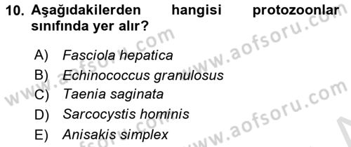 Gıda Güvenliğinin Temel Prensipleri Dersi 2022 - 2023 Yılı Yaz Okulu Sınav Soruları 10. Soru