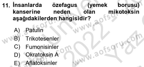 Gıda Güvenliğinin Temel Prensipleri Dersi 2022 - 2023 Yılı Yaz Okulu Sınav Soruları 11. Soru