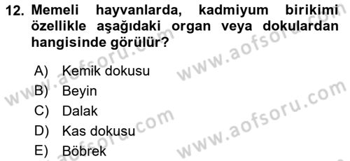 Gıda Güvenliğinin Temel Prensipleri Dersi 2022 - 2023 Yılı Yaz Okulu Sınav Soruları 12. Soru