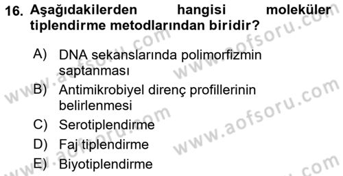 Gıda Güvenliğinin Temel Prensipleri Dersi 2022 - 2023 Yılı Yaz Okulu Sınav Soruları 16. Soru