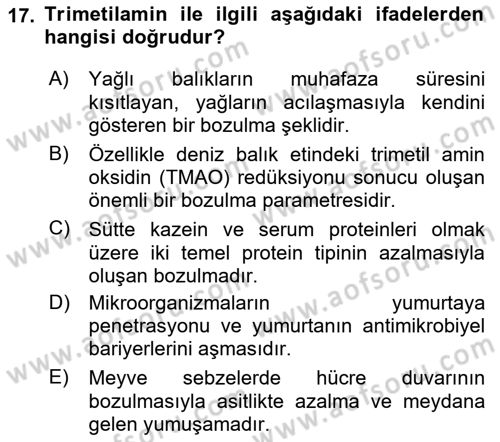Gıda Güvenliğinin Temel Prensipleri Dersi 2022 - 2023 Yılı Yaz Okulu Sınav Soruları 17. Soru