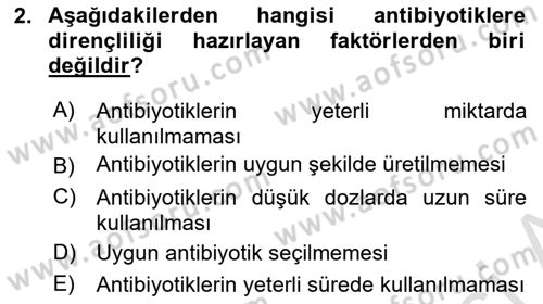 Gıda Güvenliğinin Temel Prensipleri Dersi 2022 - 2023 Yılı Yaz Okulu Sınav Soruları 2. Soru