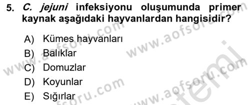 Gıda Güvenliğinin Temel Prensipleri Dersi 2022 - 2023 Yılı Yaz Okulu Sınav Soruları 5. Soru