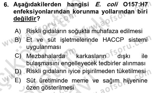 Gıda Güvenliğinin Temel Prensipleri Dersi 2022 - 2023 Yılı Yaz Okulu Sınav Soruları 6. Soru