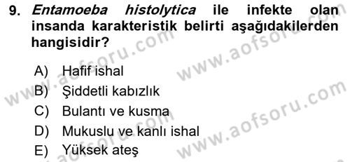 Gıda Güvenliğinin Temel Prensipleri Dersi 2022 - 2023 Yılı Yaz Okulu Sınav Soruları 9. Soru